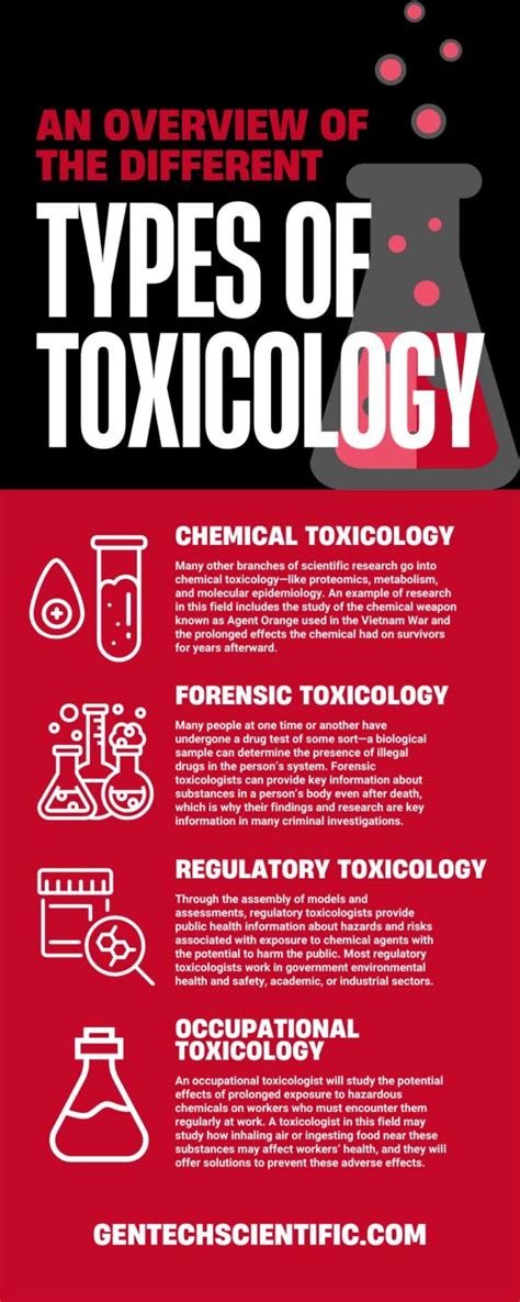 An Overview Of The Different Types Of Toxicology