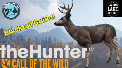 Blacktail Deer Guide For Layton Lakes The Hunter Call Of The Wild