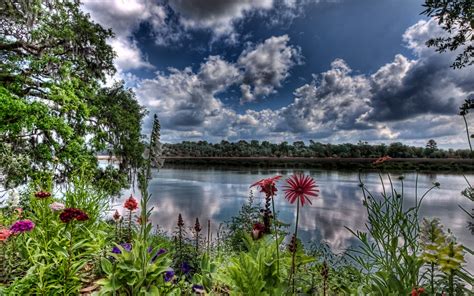 Wallpaper Trees Landscape Digital Art Flowers Garden Lake Water