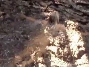 BILLY BATHGATE NUDE SCENES AZNude