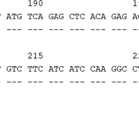 Alignment Of The Sequence Of Exon 4 Of DQA1 01 19 With The Sequence Of