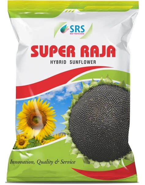 Black Super Raja Hybrid Sunflower Seeds Shelf Life 3months