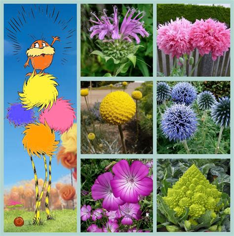 Whimsical Seuss Lorax Inspired Flower Seed Collection