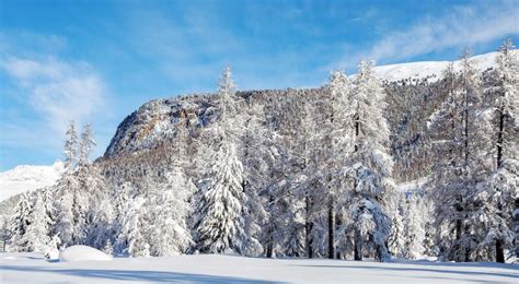 Alpine winter landscape stock photo. Image of bernina - 164994778