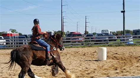 Clydesdale Barrel Racing Clydesdale Horses Barrel Racing