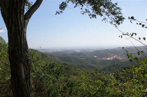 Cerro El Copey espacio de especies endémicas Haiman El Troudi