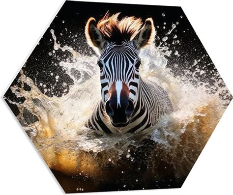 Pvc Schuimplaat Hexagon Vooraanzicht Van Zwemmende Zebra In Beekje