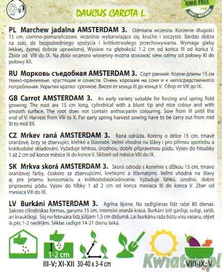 MARCHEW AMSTERDAMSKA Wczesna Nasiona Amsterdam 3 KWIATEO Pl