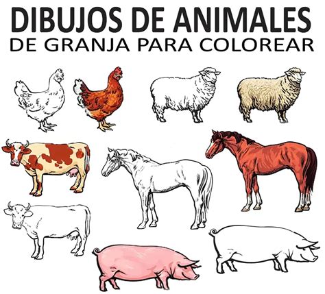 DIBUJOS DE ANIMALES DE GRANJA PARA COLOREAR - DESCARGA DE IMÁGENES Y ...