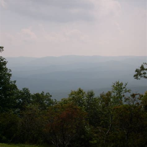 Telehealth tools will soon launch for pet pal veterinary clinic 29