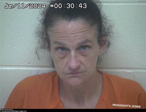 WEBB BRANDI 06 10 2024 Scioto County Mugshots Zone