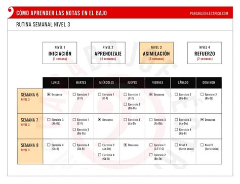 Cómo aprender las Notas en el Bajo Método Ejercicios