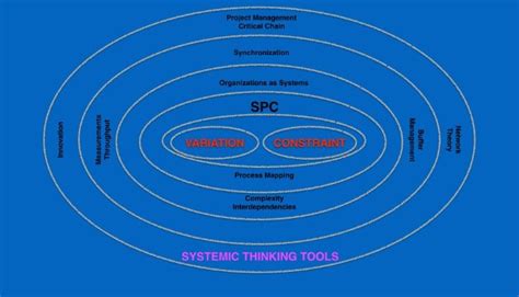 A New Curriculum for Business and Management