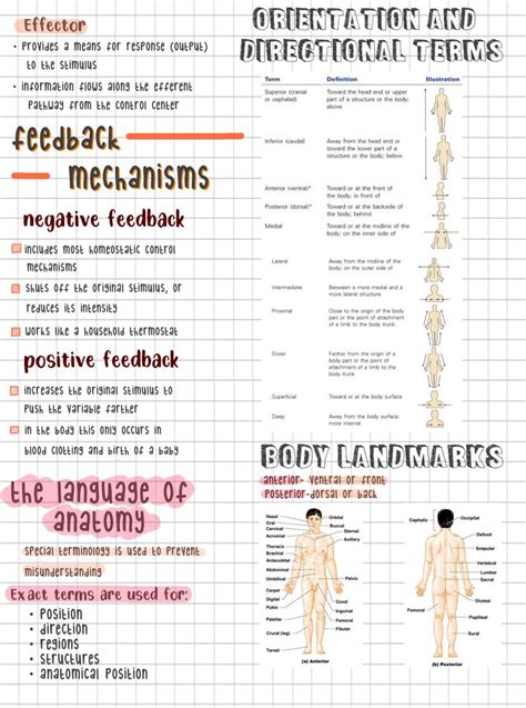 Nurse Study Notes Nursing Study Biology Lessons Biology Notes Crna