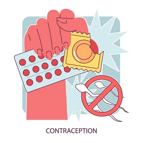 Contraception Methods Birth Control And Pregnancy Prevention Sexual