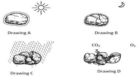 Solution Rocks And Mineral Resources Studypool