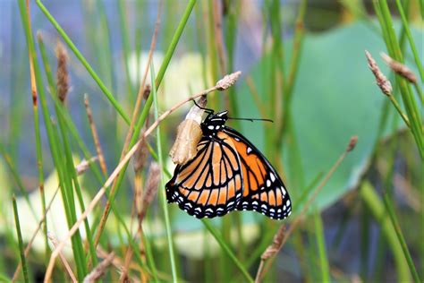 Homeowners are surprised by the data on beacon marion county iowa 1