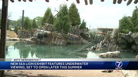 New Sea Lion Exhibit At Henry Doorly Zoo Features Underwater Viewing