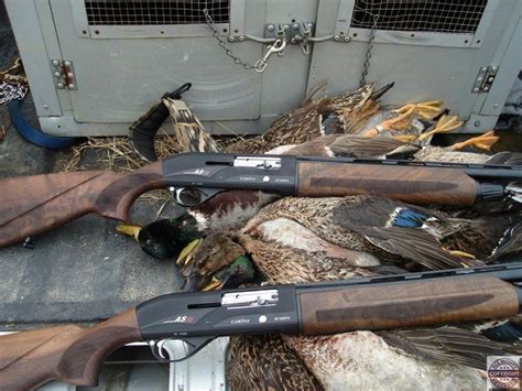 Best Duck Hunting Gun How To Choose The Right Weapon Hunting Tips