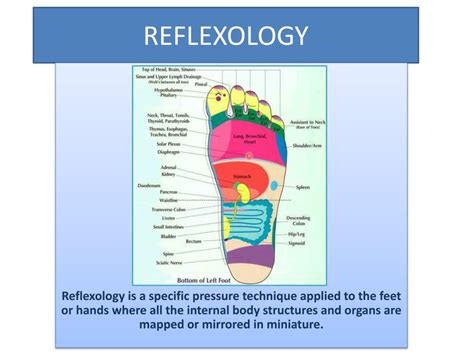 Ppt Reflexology Powerpoint Presentation Free Download Id2171796