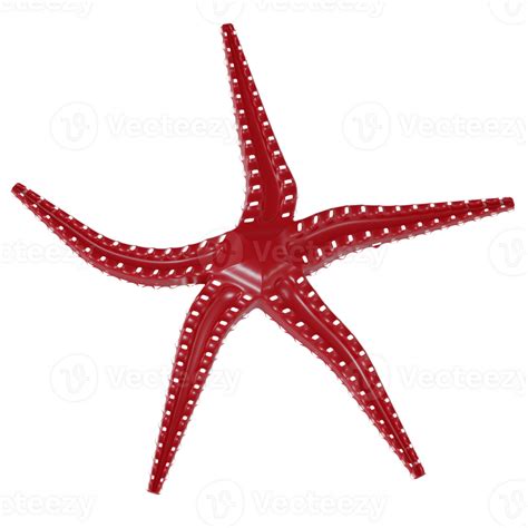 3d Rendered Red Sea Star Icon Isolated 35668142 Png