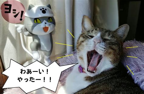 動くイラストと猫漫画：猫漫画「今日は世界猫の日」