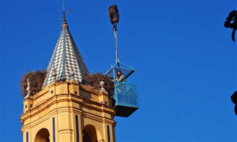 El Ayuntamiento De Palos De La Frontera Procede A La Limpieza Del