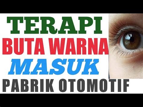 Terapi Buta Warna Untuk Masuk Pabrik Otomotif Youtube