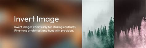 invert colors image   photo inverter tool luletools