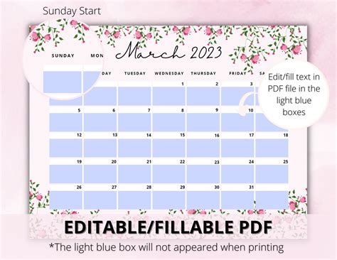 Editable 2023 Calendar Printable 12 Monthly Calendar Digital - Etsy