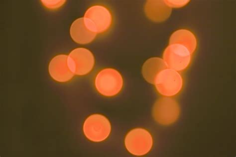 Free Images Light Bokeh Blur Petal Atmosphere Red Lighting