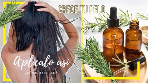 Aceite De Romero Casero Para El Crecimiento Del Cabello 🪴 ¿cómo Hacerlo