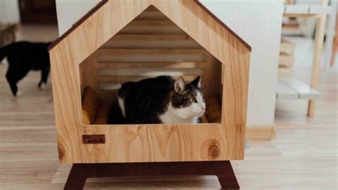 Making a DIY Feral Cat Shelter - The Cat Bandit Blog