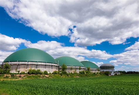 Anaerobic Digestion And Biodigesters Power Knot