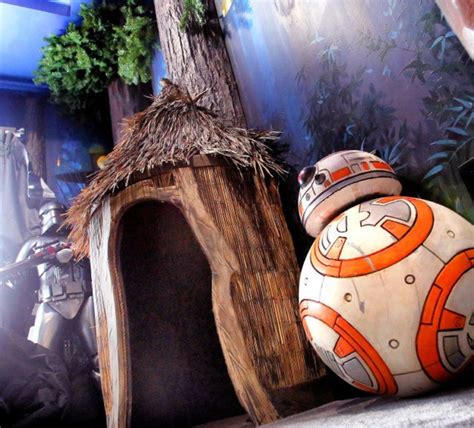 Disney Theme Park Encourages Star Wars-Themed Rentals in Florida