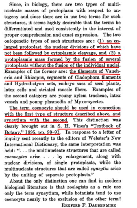 Ma'am, in class you said that coenocytic refers to the dissolution of ...