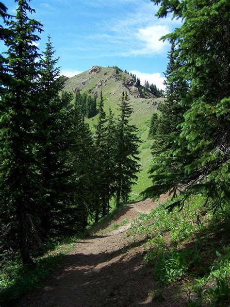 Wolf Creek Pass Scenic Drive Colorado Divide Trail North Of Lupo Scenic View Wolf Creek