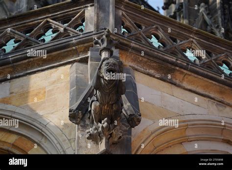 Gargoyles Detailed View Of St Vitus Cathedral In Prague Castle