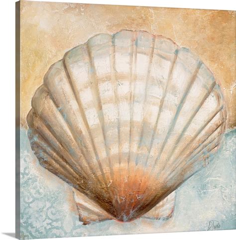 Seashell Collection Iii Wall Art Canvas Prints Framed Prints Wall