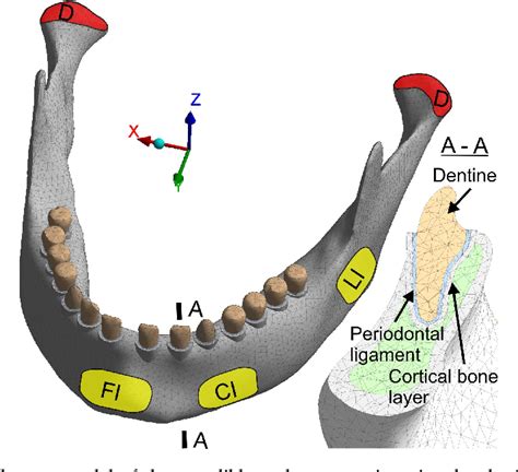 Figure 1 From Type Of The Paper Article 1 Finite Element Analysis