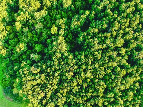 Join the Raleigh Youth Council this school year and connect with fellow high school students to