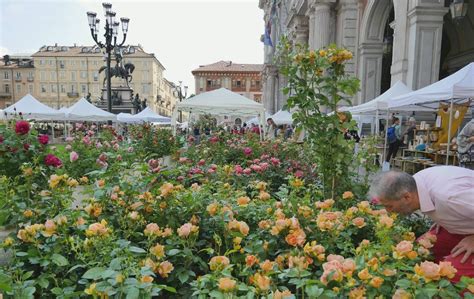 AgriFlor Piazza Vittorio Diventa Un Giardino Colorato Con Ledizione