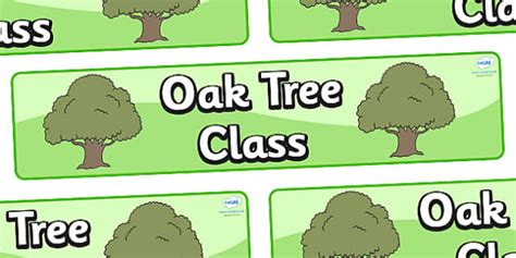 Free Oak Tree Themed Classroom Display Banner Twinkl