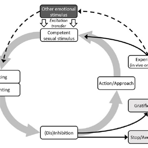 Pdf Mixed Emotions An Incentive Motivational Model Of Sexual Deviance