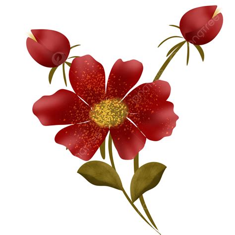 Hermosa Flor Roja Png Flor Roja Hermosa Flor Florido Png Y Psd Para