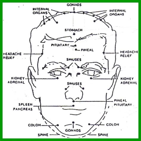 17 Best images about Face Reflexology on Pinterest | Ear reflexology ...