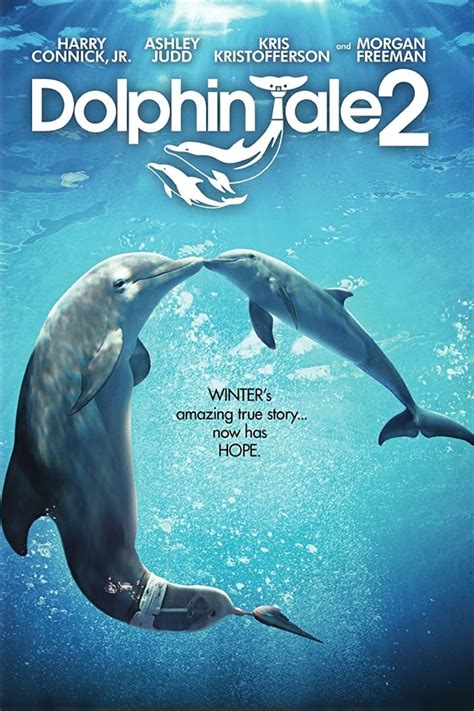 Dolphin Tale Wiki Synopsis Reviews Watch And Download