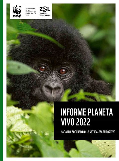 Informe Planeta Vivo 2022 La Naturaleza Nos Lanza Un Sos Wwf España