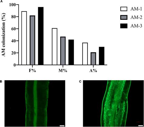 Figure From Comparative Proteomic Analysis Identifies Proteins