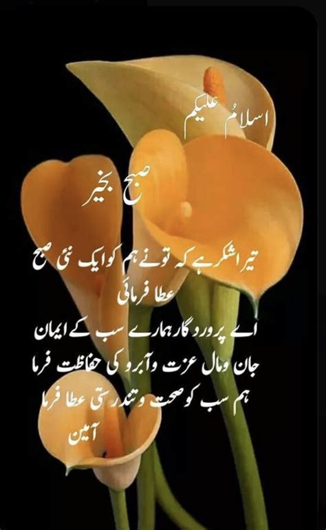 Pin By Zubia Kiran On Subah Bakhair Good Morning Flowers Good